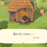 あつまれどうぶつの森