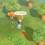 あつまれどうぶつの森