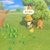 あつまれどうぶつの森