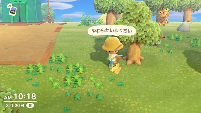 あつまれどうぶつの森