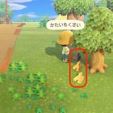 あつまれどうぶつの森