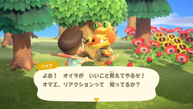 あつまれどうぶつの森