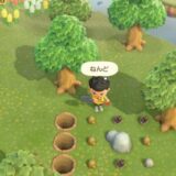 あつまれどうぶつの森