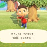 あつまれどうぶつの森