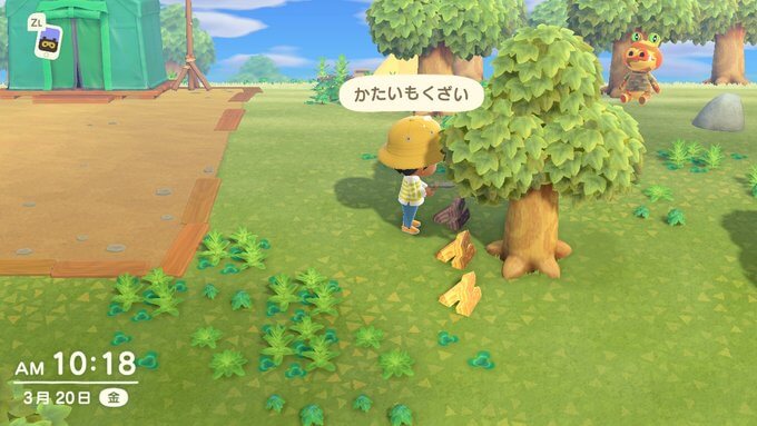 あつまれどうぶつの森