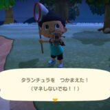 あつまれどうぶつの森