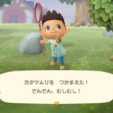 あつまれどうぶつの森