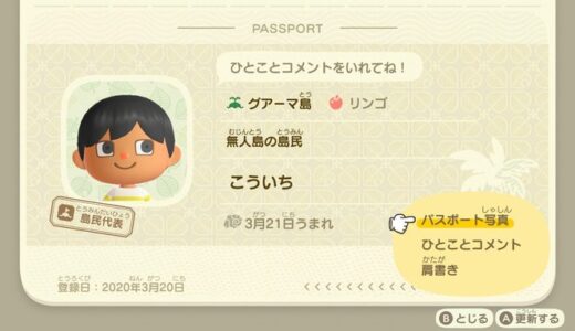 あつまれどうぶつの森：パスポートの内容を変更する方法