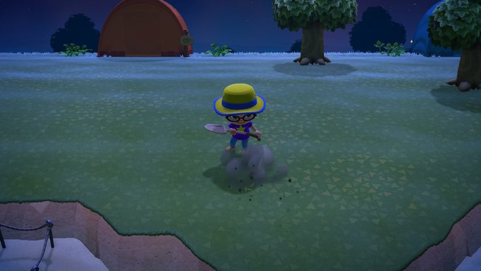 あつまれどうぶつの森