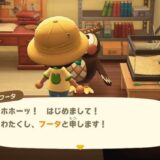 あつまれどうぶつの森