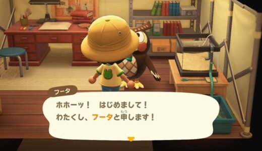 あつまれどうぶつの森：フータのテントを建てる場所は博物館の位置を考えてから建てたほうがいいかも