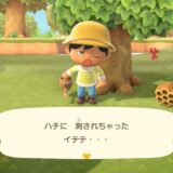 あつまれどうぶつの森