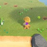 あつまれどうぶつの森