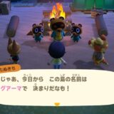 あつまれどうぶつの森