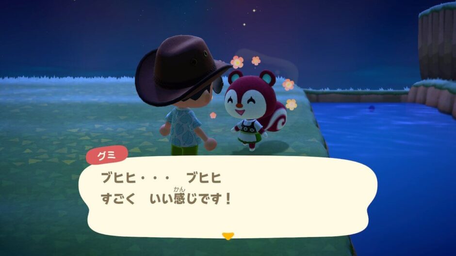 あつまれどうぶつの森
