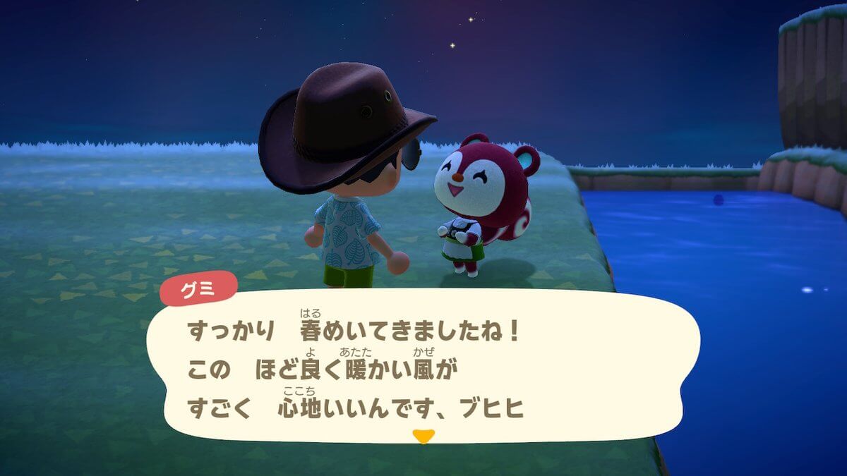 あつまれどうぶつの森