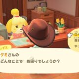 あつまれどうぶつの森