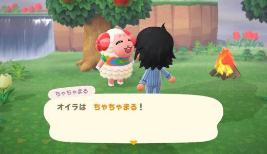 あつまれどうぶつの森：ちゃちゃまるが離島に出現した時間帯をメモしておきます。