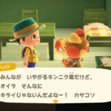 あつまれどうぶつの森