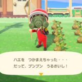あつまれどうぶつの森