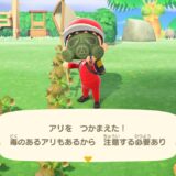 あつまれどうぶつの森