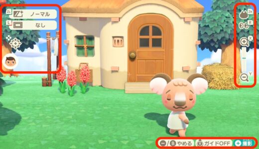 あつまれどうぶつの森：カメラのUI（ガイド）を消す方法