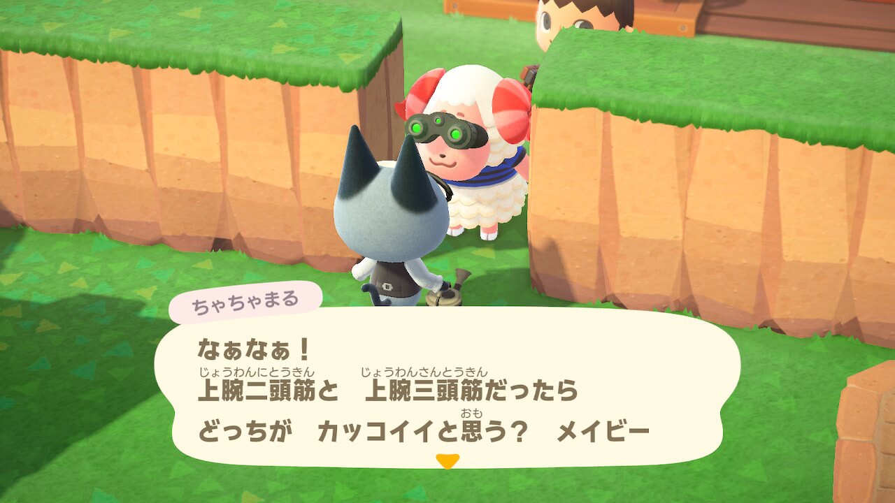 ちゃちゃまる