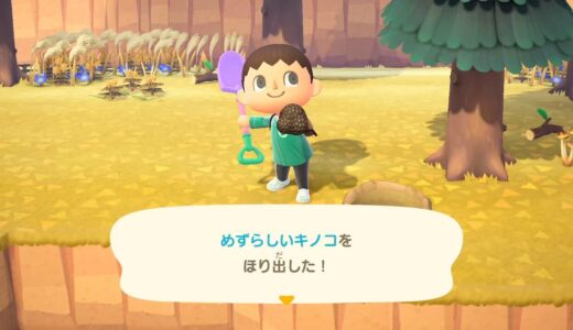 【あつ森】珍しいキノコの入手方法