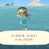 あつまれどうぶつの森