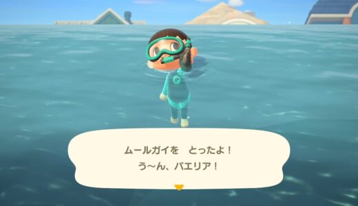 【あつ森】ムール貝の入手方法