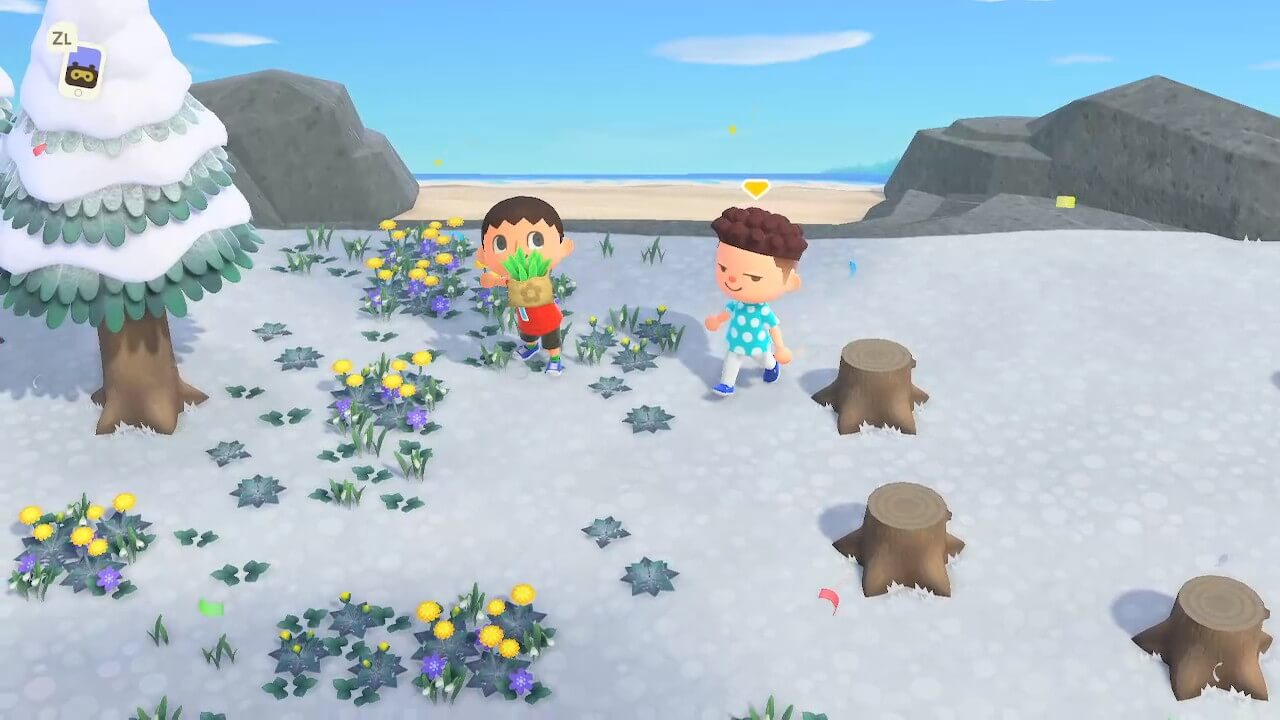 あつまれどうぶつの森