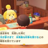 あつまれどうぶつの森