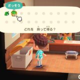 あつまれどうぶつの森