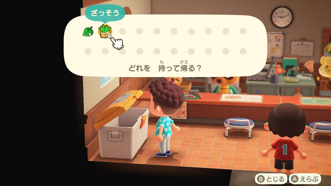 あつまれどうぶつの森