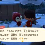 あつまれどうぶつの森
