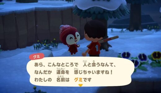 【あつ森】グミが離島に出現した時間帯をメモしておきます