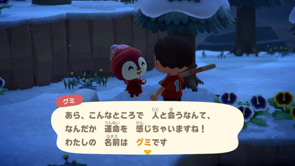 あつまれどうぶつの森