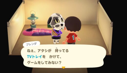 【あつ森】効率よくキャンプサイトで勧誘するコツ【アイテムを賭けるゲームの会話を省略する方法】