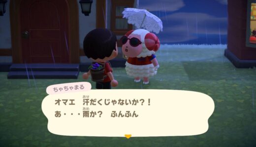 【検証】Switch 2版あつ森は4Kで60fpsなの？公式は「30fps上限」と明記【根拠つき】