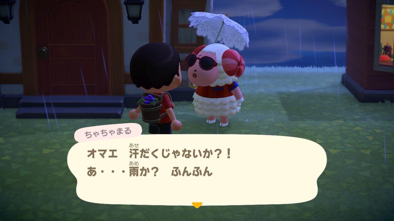 あつまれどうぶつの森