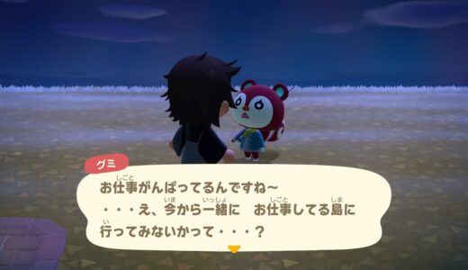 【あつ森】別荘を所持している住民に、おみやげチョコレートをプレゼントするとどうなるのか？