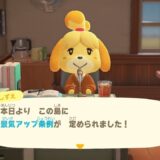 あつまれどうぶつの森ハッピーホームパラダイス