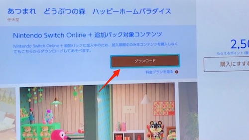 ニンテンドースイッチオンライン+追加パック