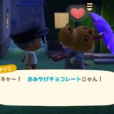 あつまれどうぶつの森