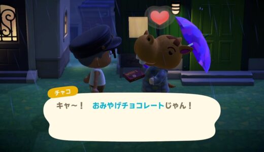 【あつ森】追加パックが切れてる状態でおみやげチョコレートを渡したらどうなるのか？【あつまれどうぶつの森ハッピーホームパラダイス】
