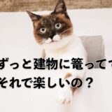 FPSでずっと建物に篭ってる芋