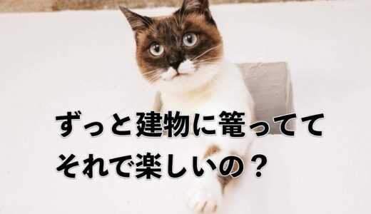 FPSで全く動かない芋の人たちへ。おまいらずっと建物に篭ってて楽しいのか！？