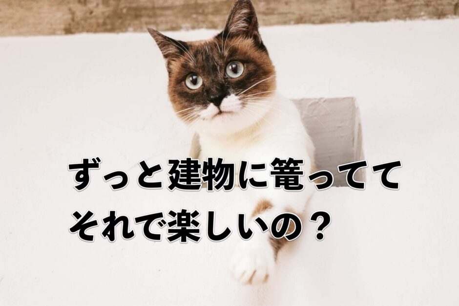FPSでずっと建物に篭ってる芋