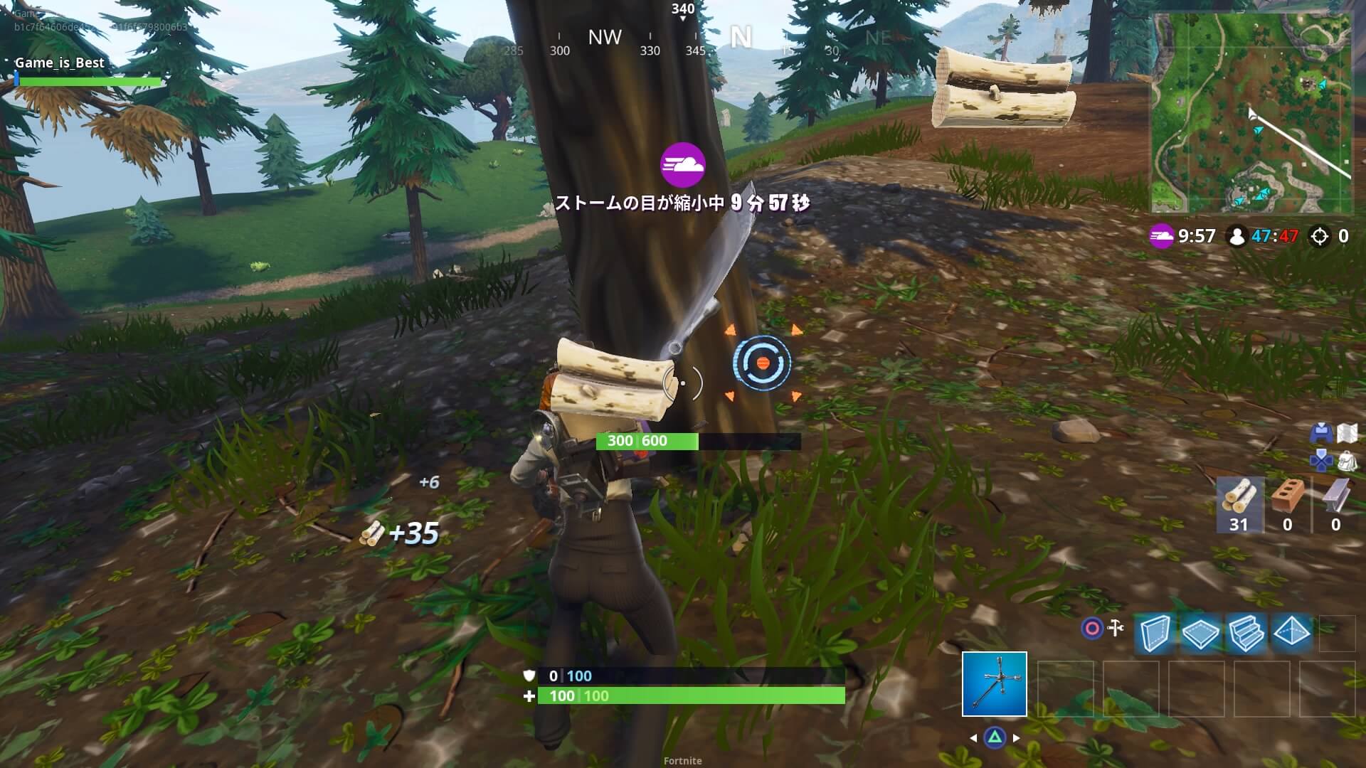 Fortnite