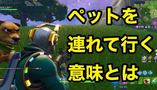 【フォートナイト】ペットを連れて行く意味とは？
